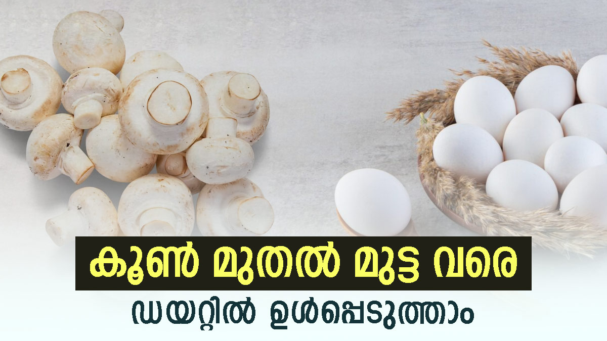 കൂൺ, മുട്ടയുടെ മഞ്ഞക്കരു, തീർന്നില്ല; നിങ്ങളുടെ ശരീരത്തിൽ അത്ഭുതം തീ