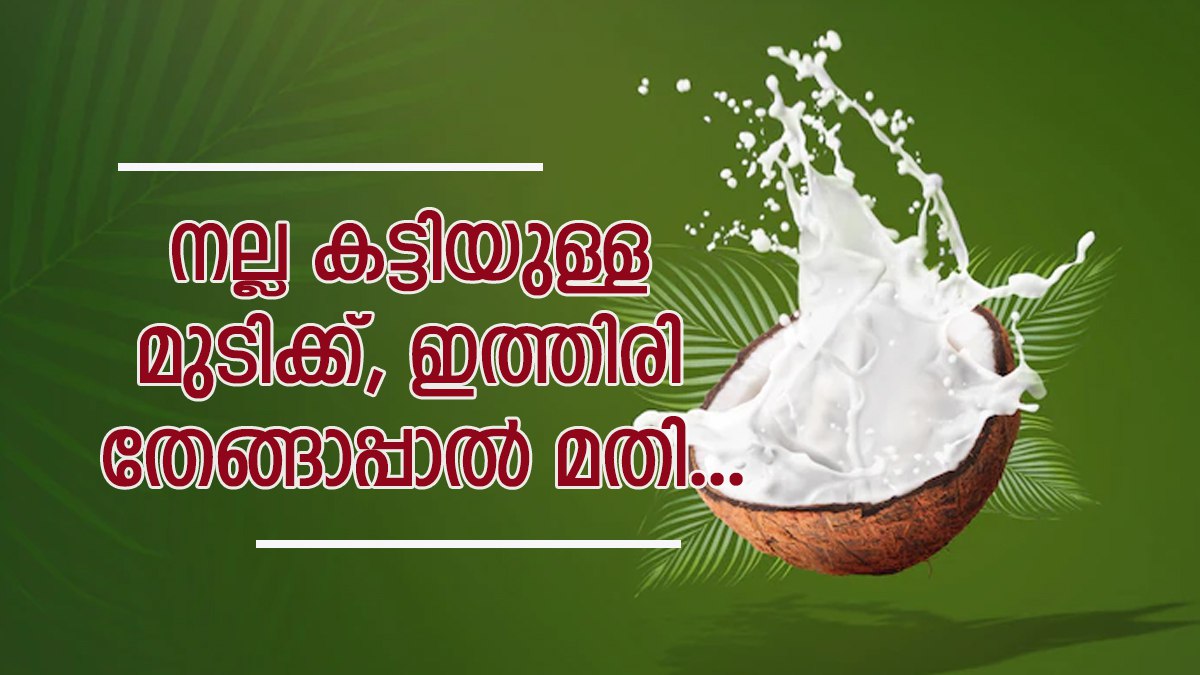 Hair Care Tips Do You Know Coconut Milk Helps In Hair Growth, Here Is