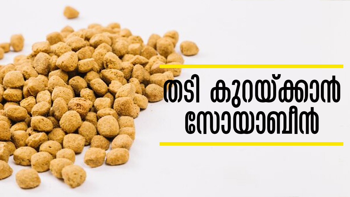 അമിതവണ്ണത്തെക്കുറിച്ച് ആലോചിച്ച് പേടിക്കേണ്ട; സോയാബീന്‍ ഉണ്ടല്ലോ