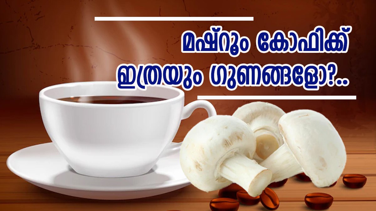 മഷ്റൂം കോഫിയുടെ ഗുണങ്ങൾ ചെറുതല്ല; കൂണും കാപ്പിപ്പൊടിയും കൊണ്ട്