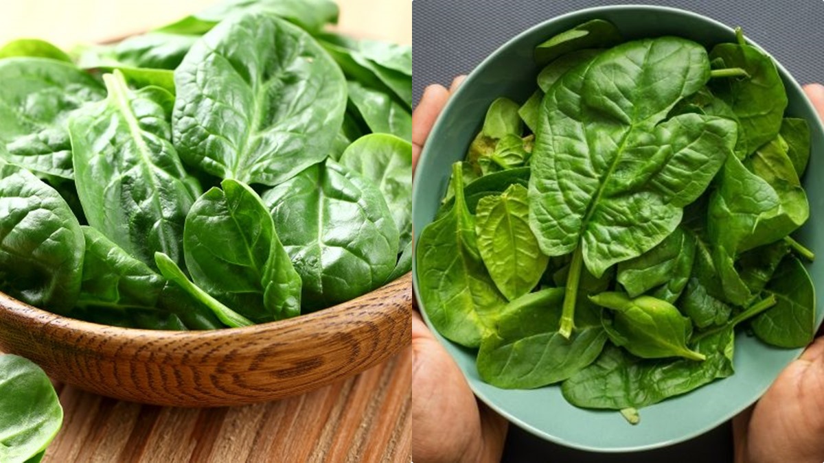 രണ്ട് നുള്ള് ചീരയുണ്ടോ? കുടവയറൊക്കെ പുഷ്പം പോലെ കുറയ്ക്കാം; ഇങ്ങനെ