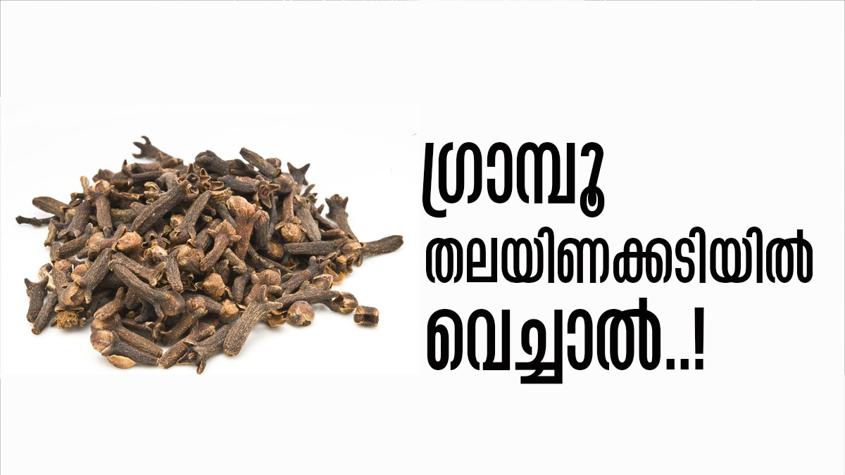 തലയിണക്കടിയില്‍ ഗ്രാമ്പൂ വെച്ച് ഉറങ്ങാറുണ്ടോ..? ഇക്കാര്യം