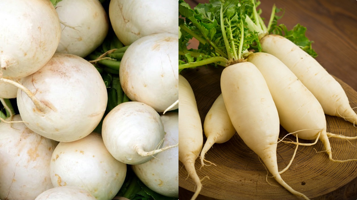 കുടവയര്‍ കാരണം പരിഹസിക്കപ്പെടാറുണ്ടോ? 2 കഷ്ണം മുള്ളങ്കി കഴിച്ച് നോക്കൂ