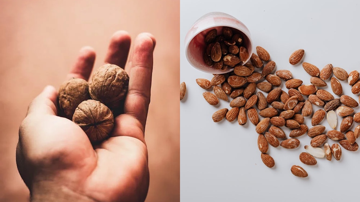 From Walnut To Brazil Nut; Here is the way to reduce belly fat and