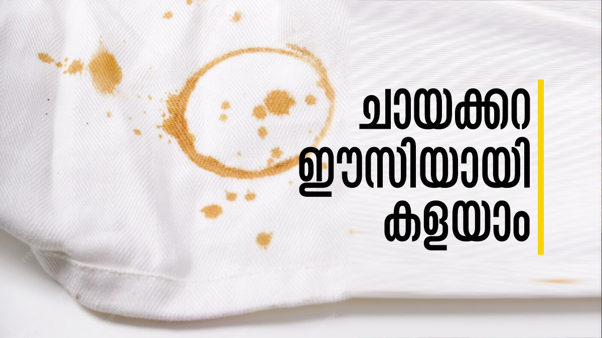 പേടിക്കേണ്ട, വീട്ടില്‍ തന്നെയുണ്ട് പരിഹാരം Cleaning Tips Here Are