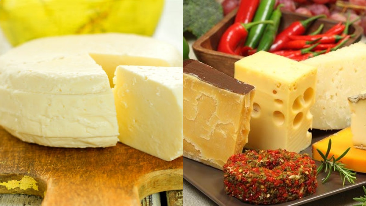 വെണ്ണ കഴിക്കുന്നത് നല്ലതാണോ? ഹെല്‍ത്തിയായിട്ടുള്ളവ ഇവയാണ്; ഗുണങ്ങള്