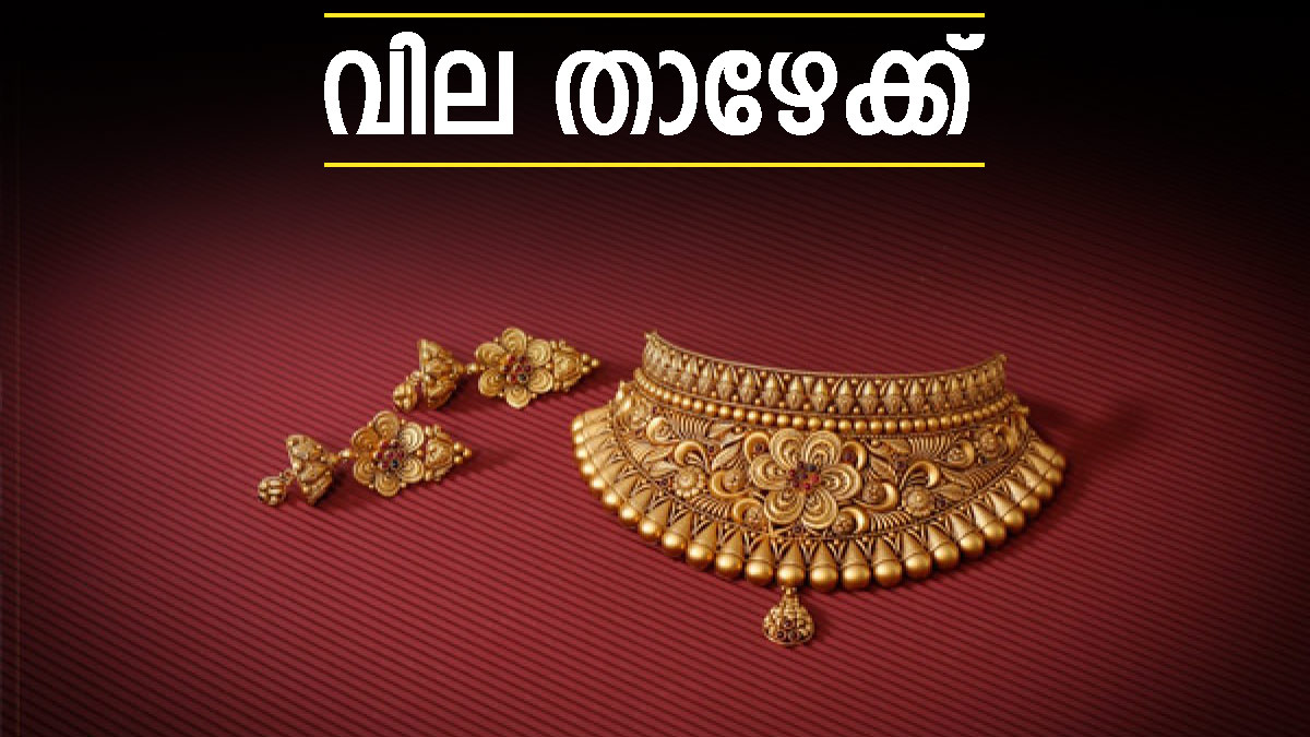 gold41-1718341908.jpg