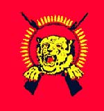 Tamil Elam Flag